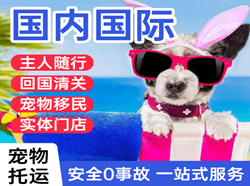 临汾航空货运国际宠物托运 【国